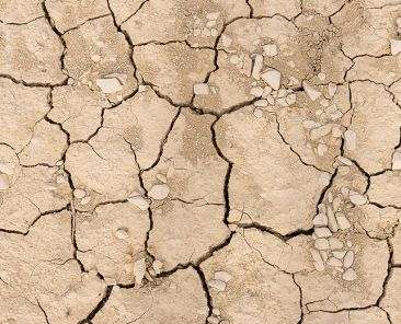 texture dry earth closeup Old asphalt as background, dry ground without water cracked background