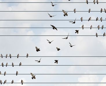Change concept and changing team and allegiance symbol as a group of birds on a wire making a shift to a higher level as a business metaphor for restructuring or reorganization of a corporation or social political shift of opinion.